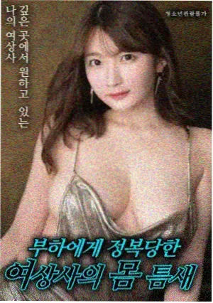 古装宫斗剧甄嬛传的招牌式封面占位图